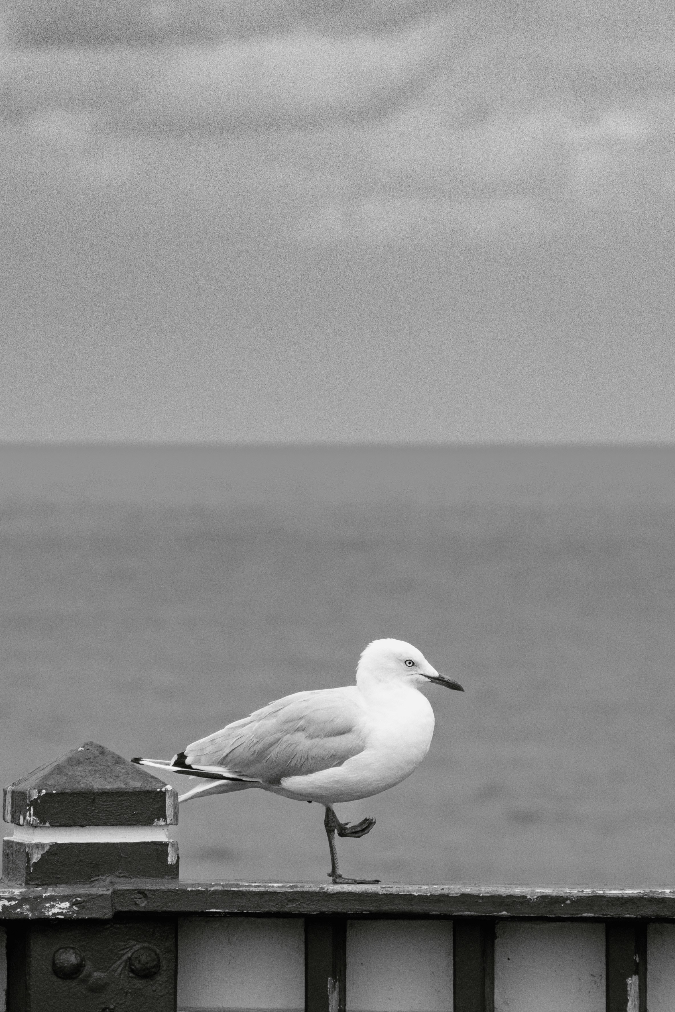 Photo by singhharjiwan