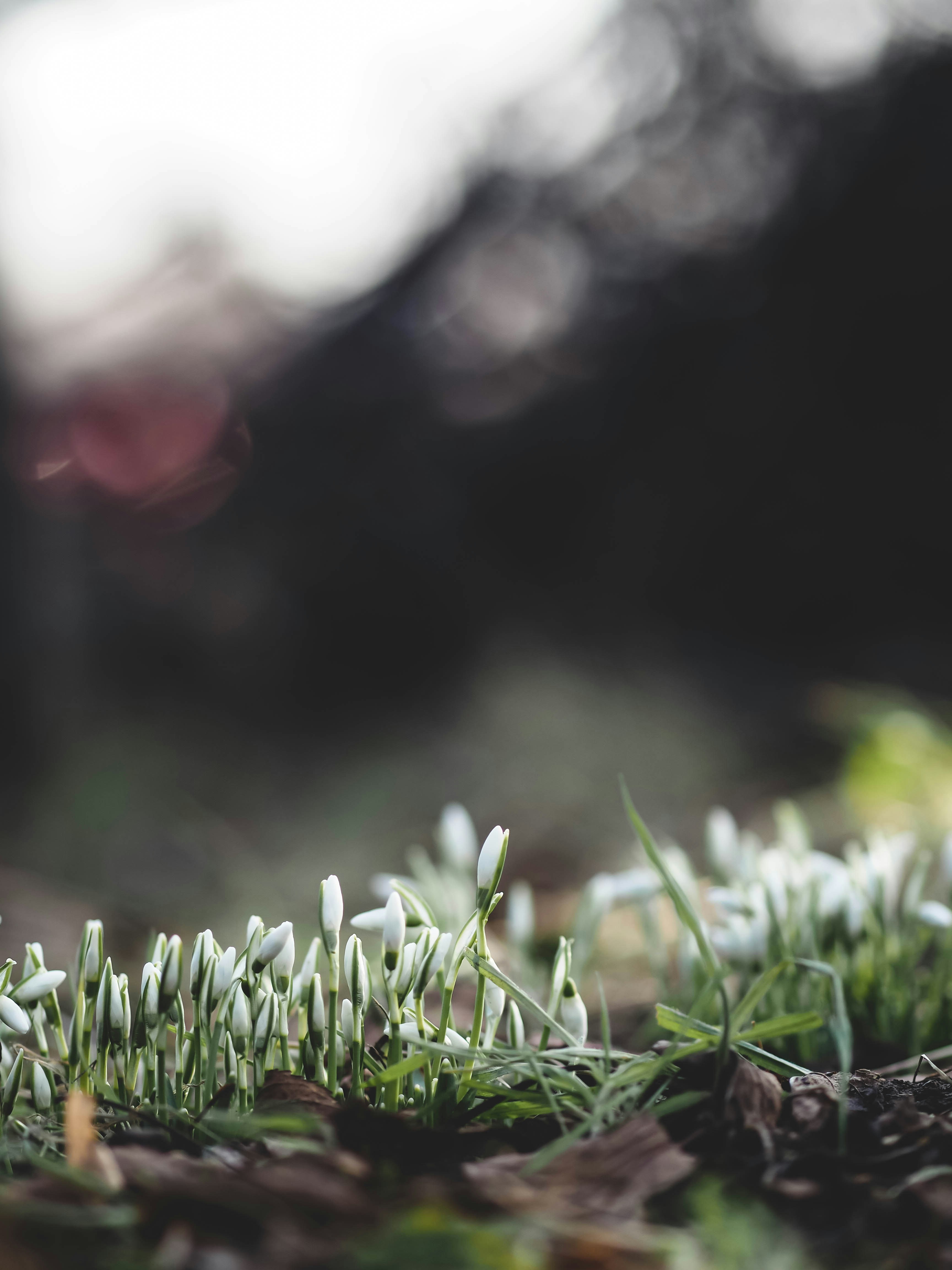 Photo by eileen_kummer