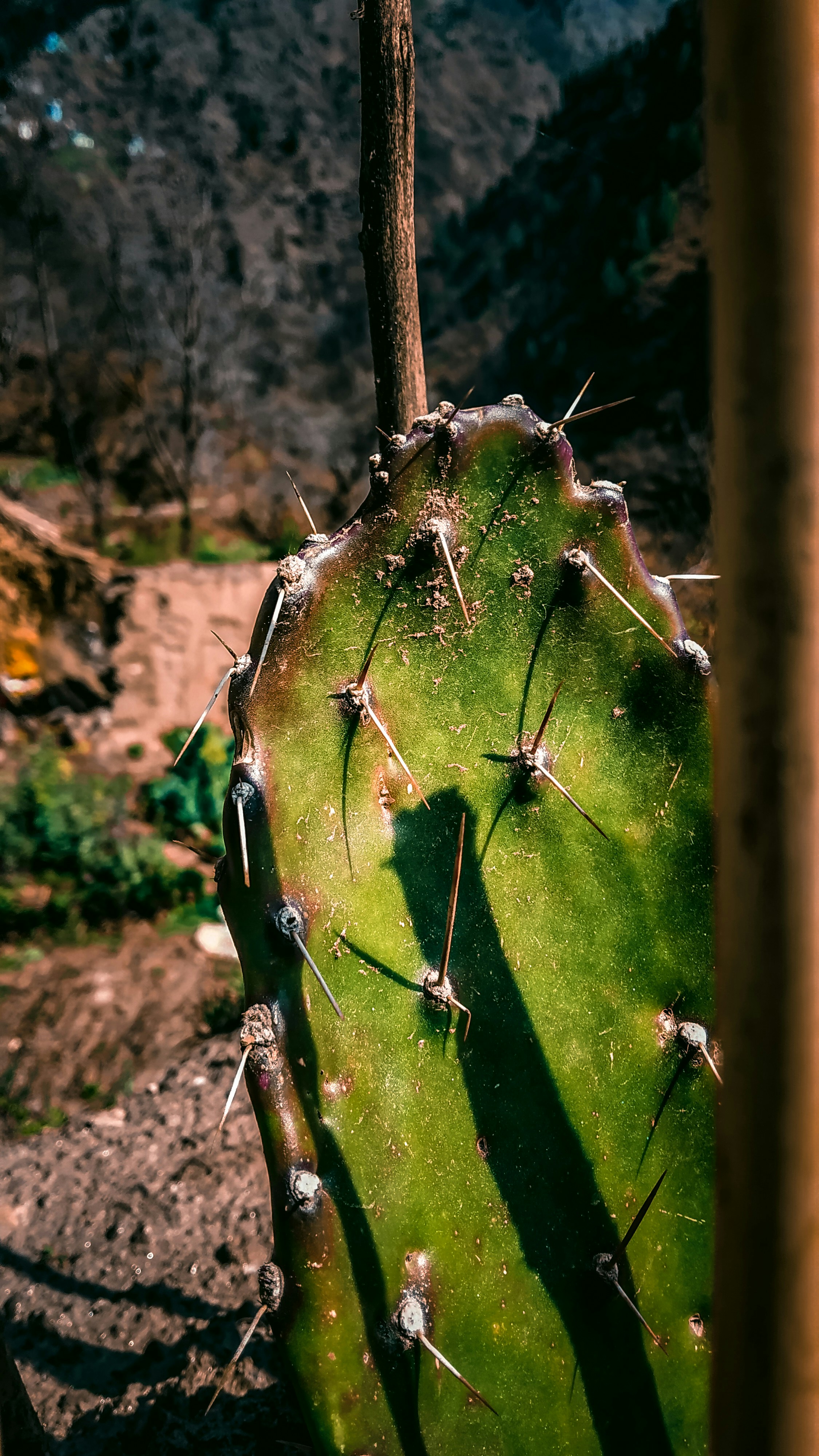 Photo by tahirwani_432