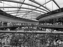 A spacious, modern indoor shopping mall with multiple levels. The architecture features a high, curved ceiling made of glass and metal beams, allowing natural light to filter through. Various shops and stores line the walkways on each level, with visible signage and store displays. In the foreground, plant foliage partially obscures the view, adding an element of nature to the modern setting.