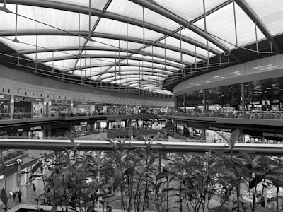 A spacious, modern indoor shopping mall with multiple levels. The architecture features a high, curved ceiling made of glass and metal beams, allowing natural light to filter through. Various shops and stores line the walkways on each level, with visible signage and store displays. In the foreground, plant foliage partially obscures the view, adding an element of nature to the modern setting.