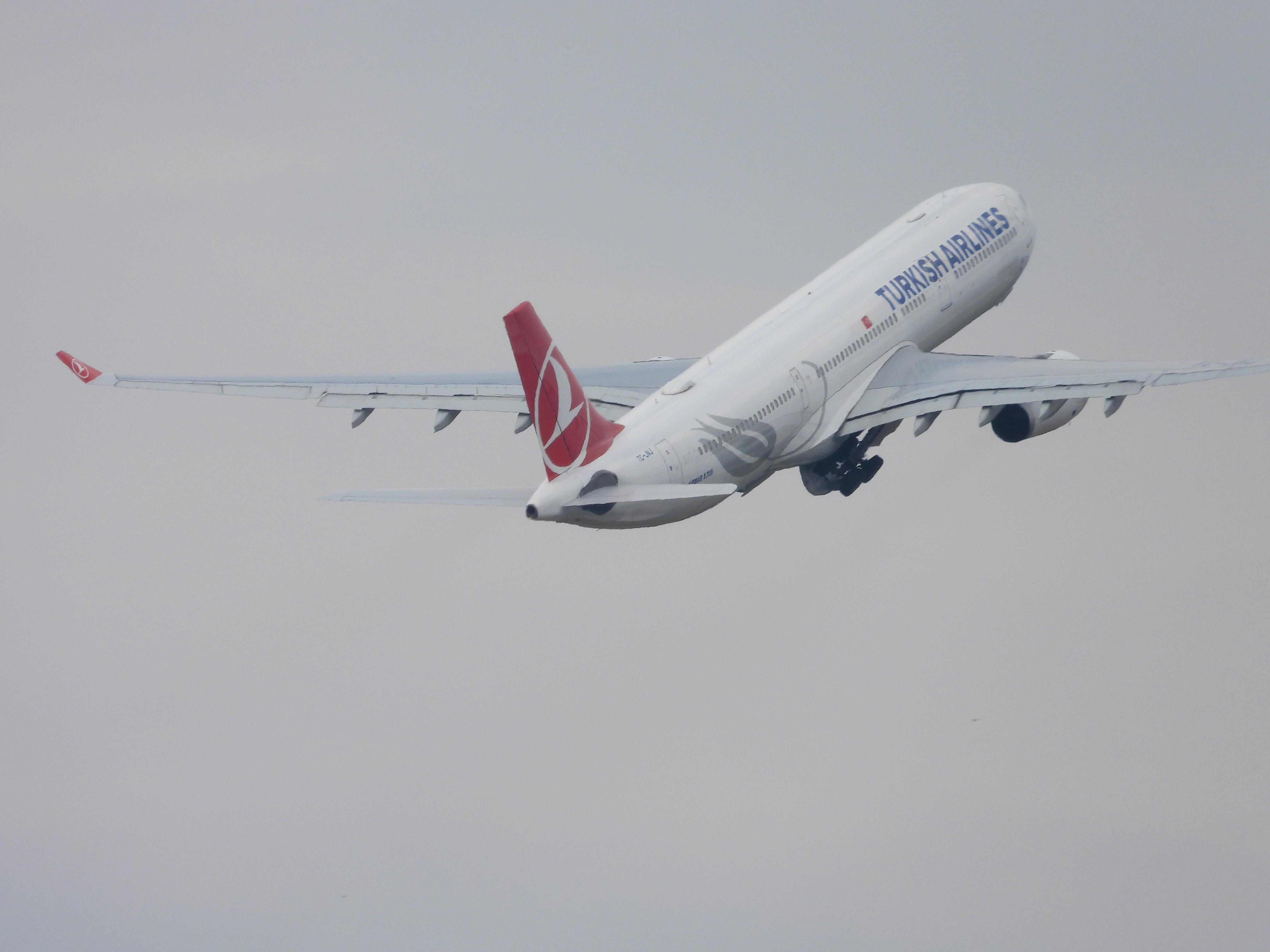 a large jetliner flying through a cloudy sky, 
