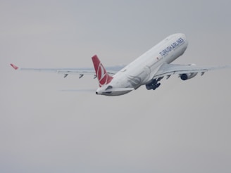 a large jetliner flying through a cloudy sky