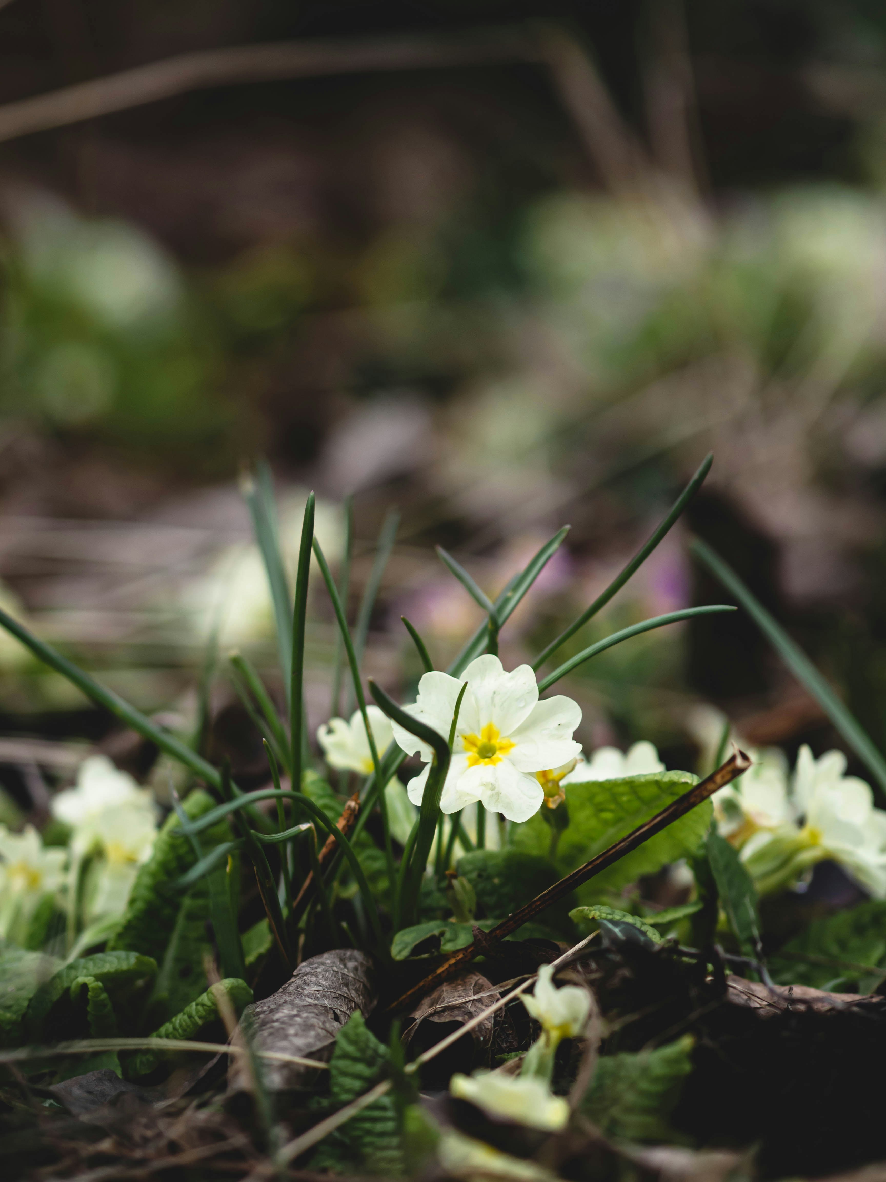 Photo by eileen_kummer