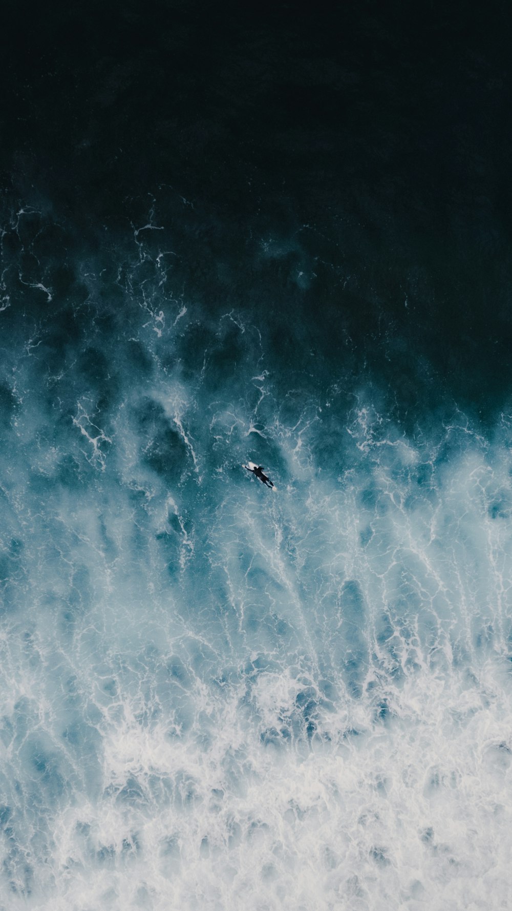 a bird flying over a large body of water