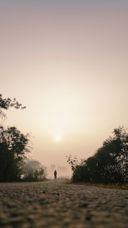 A serene image of a lone cyclist riding along a winding mountain road at sunrise.