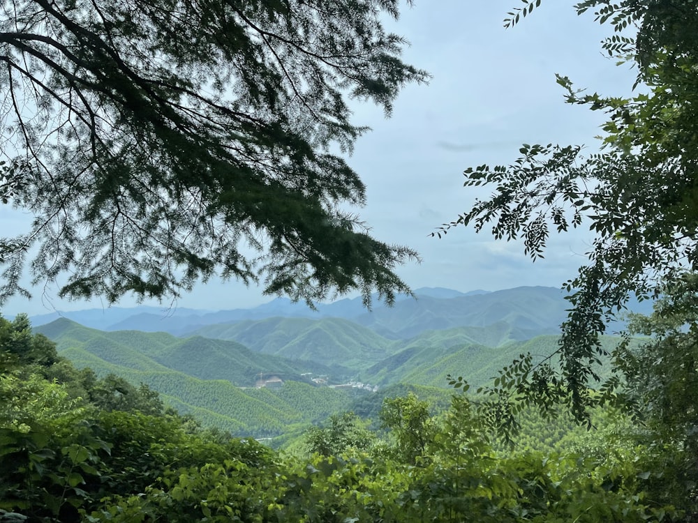 a view of the mountains from the top of a hill