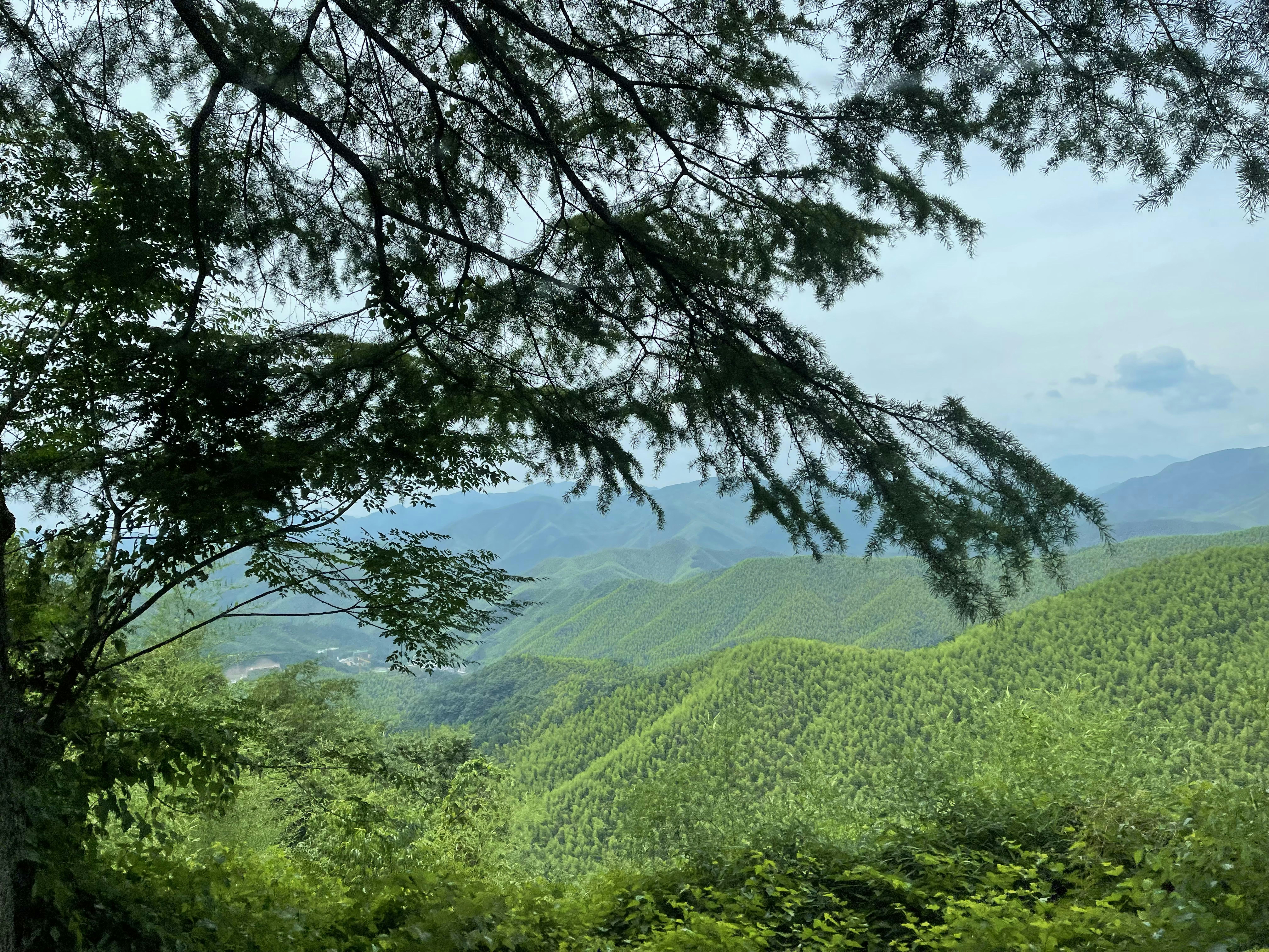 Photo by cxfromimperial