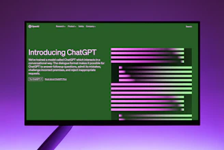 ChatGPT Intro screen