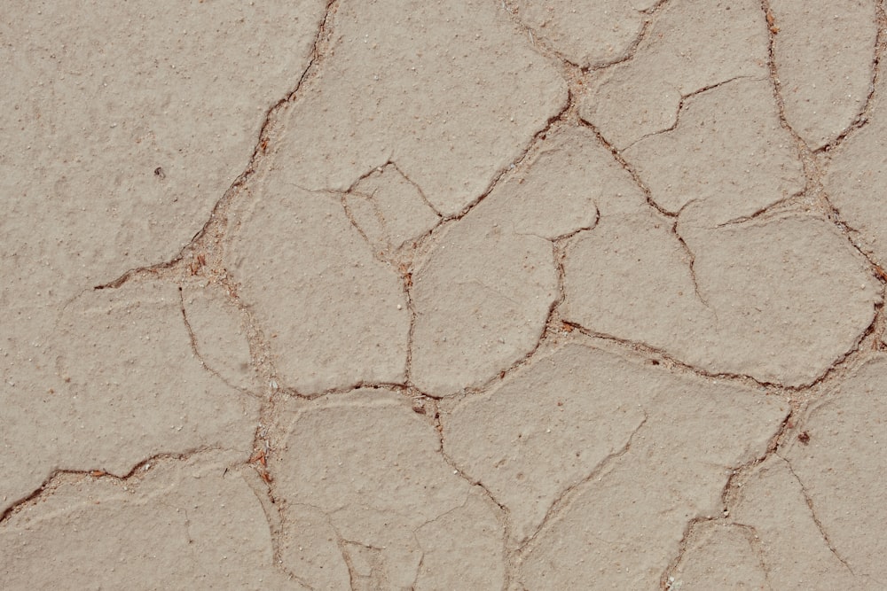 a close up of a cracked concrete surface