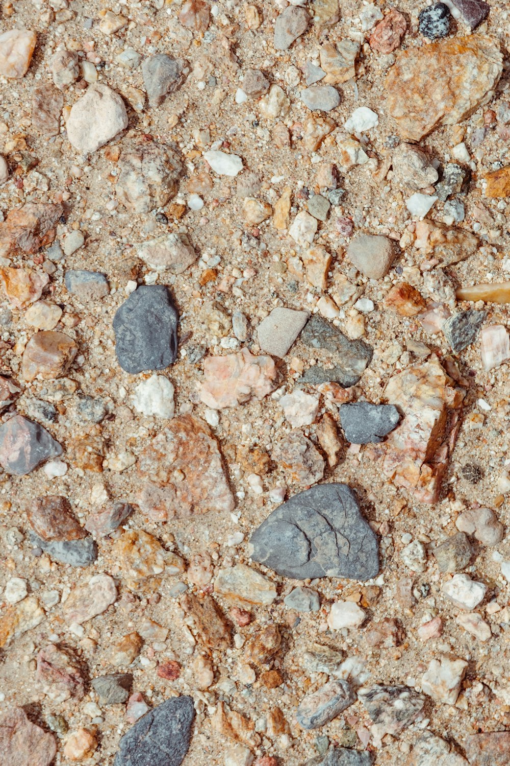 a close up of rocks and gravel on the ground