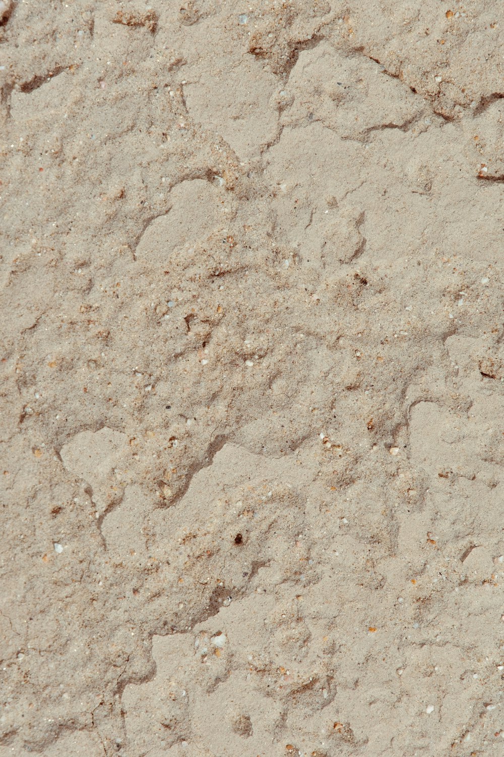 a bird is standing in the sand on the beach