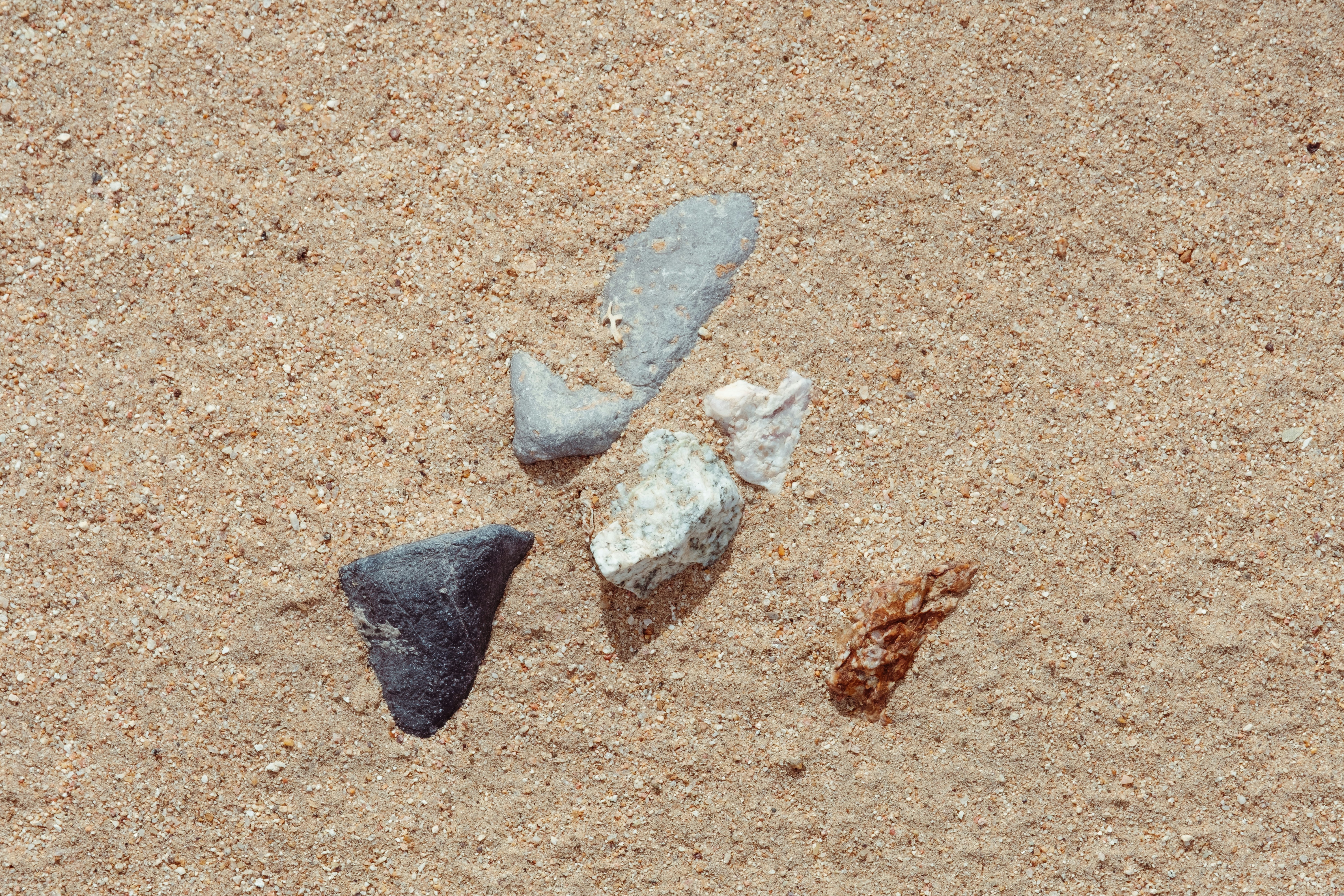 Photo by wesleyphotography