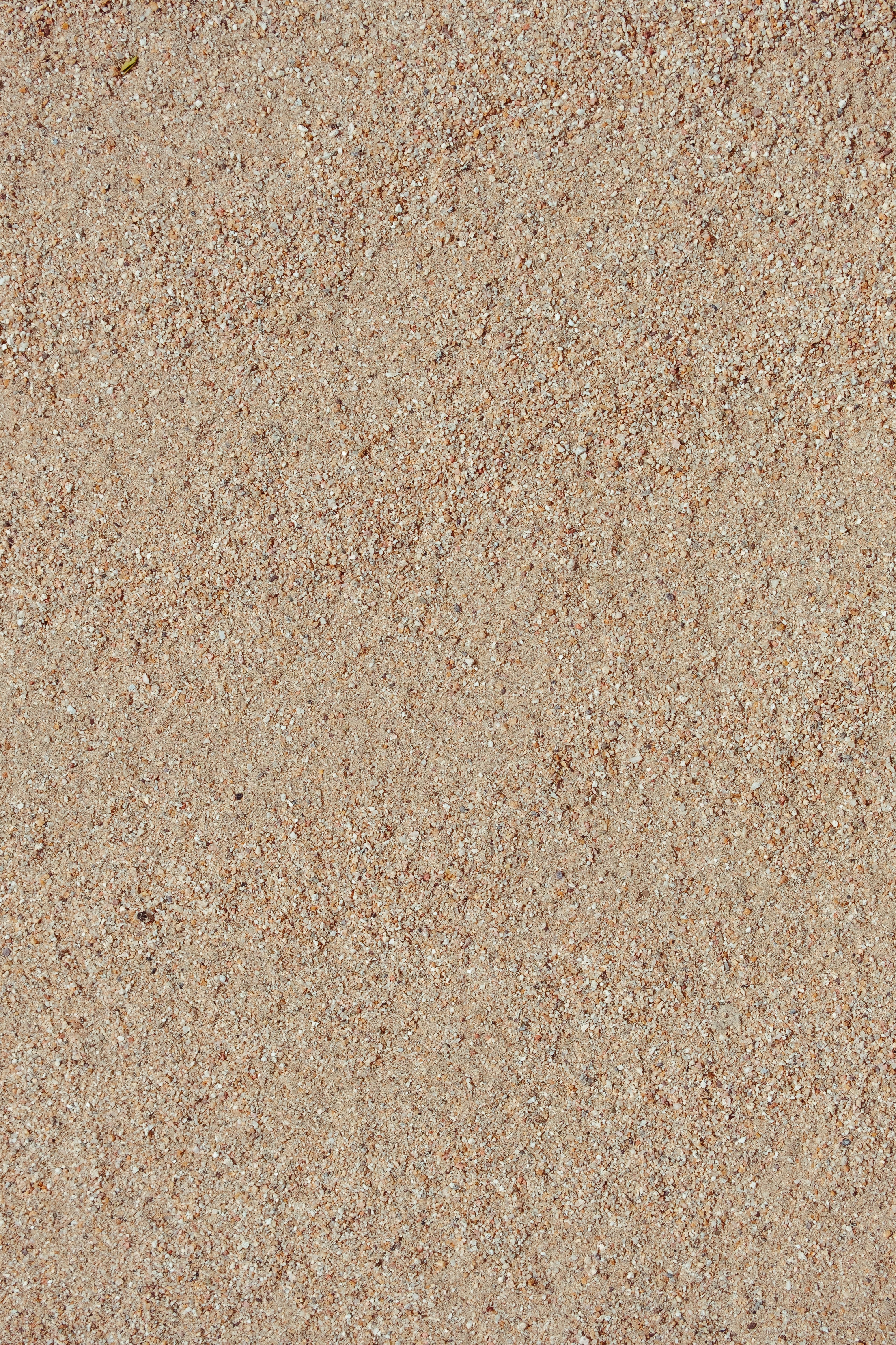 Photo by wesleyphotography