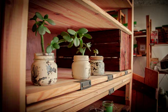 Twistara tumblers displayed on a rustic shelf with small plants around