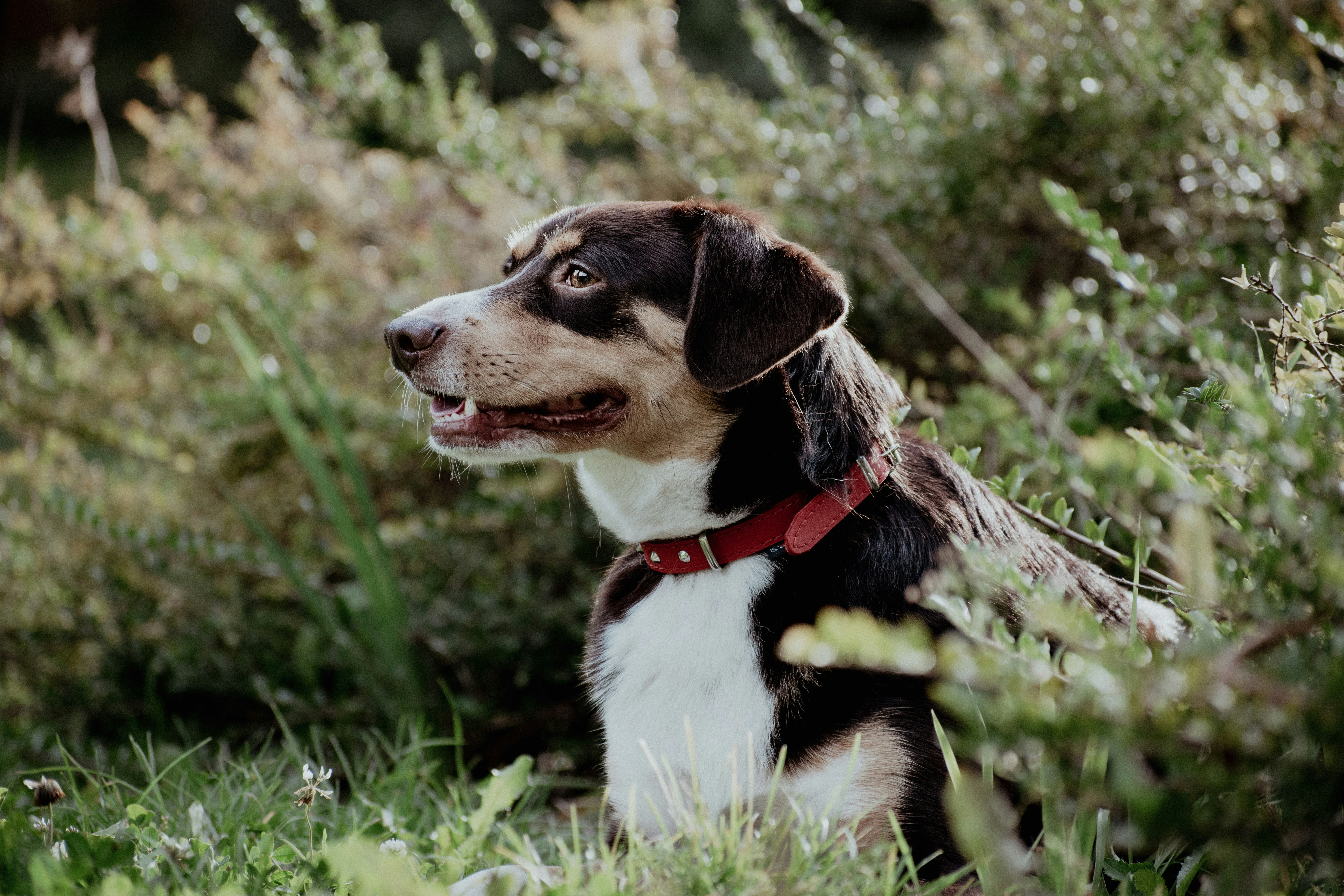 Photo by colorful_jelly