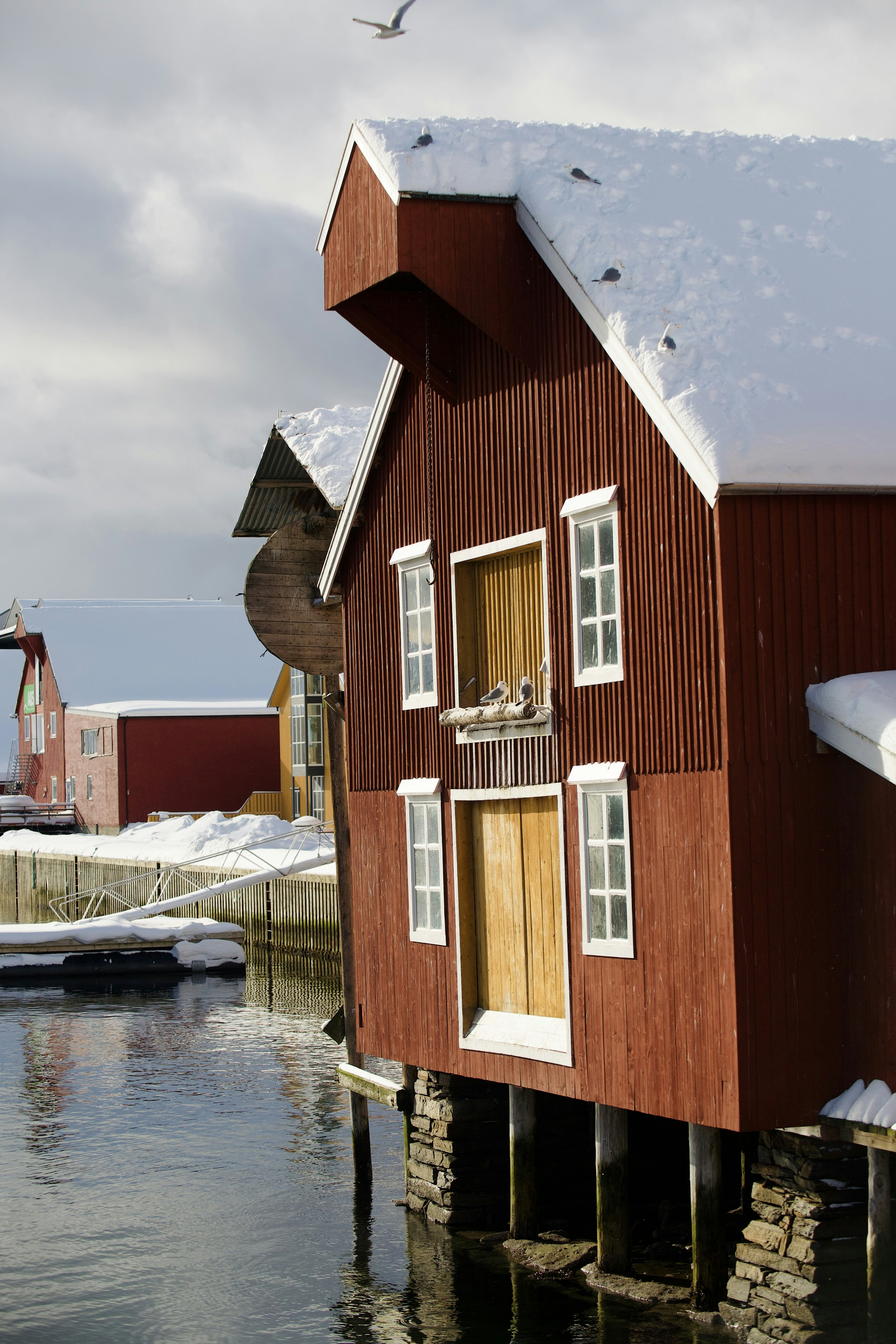 Photo by kristinokarlsen