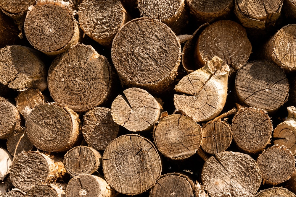 a pile of cut logs sitting next to each other