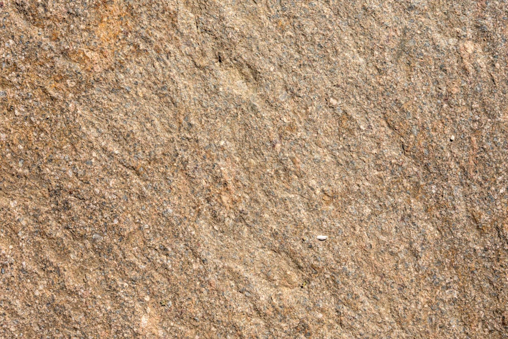 a close up view of a rock surface