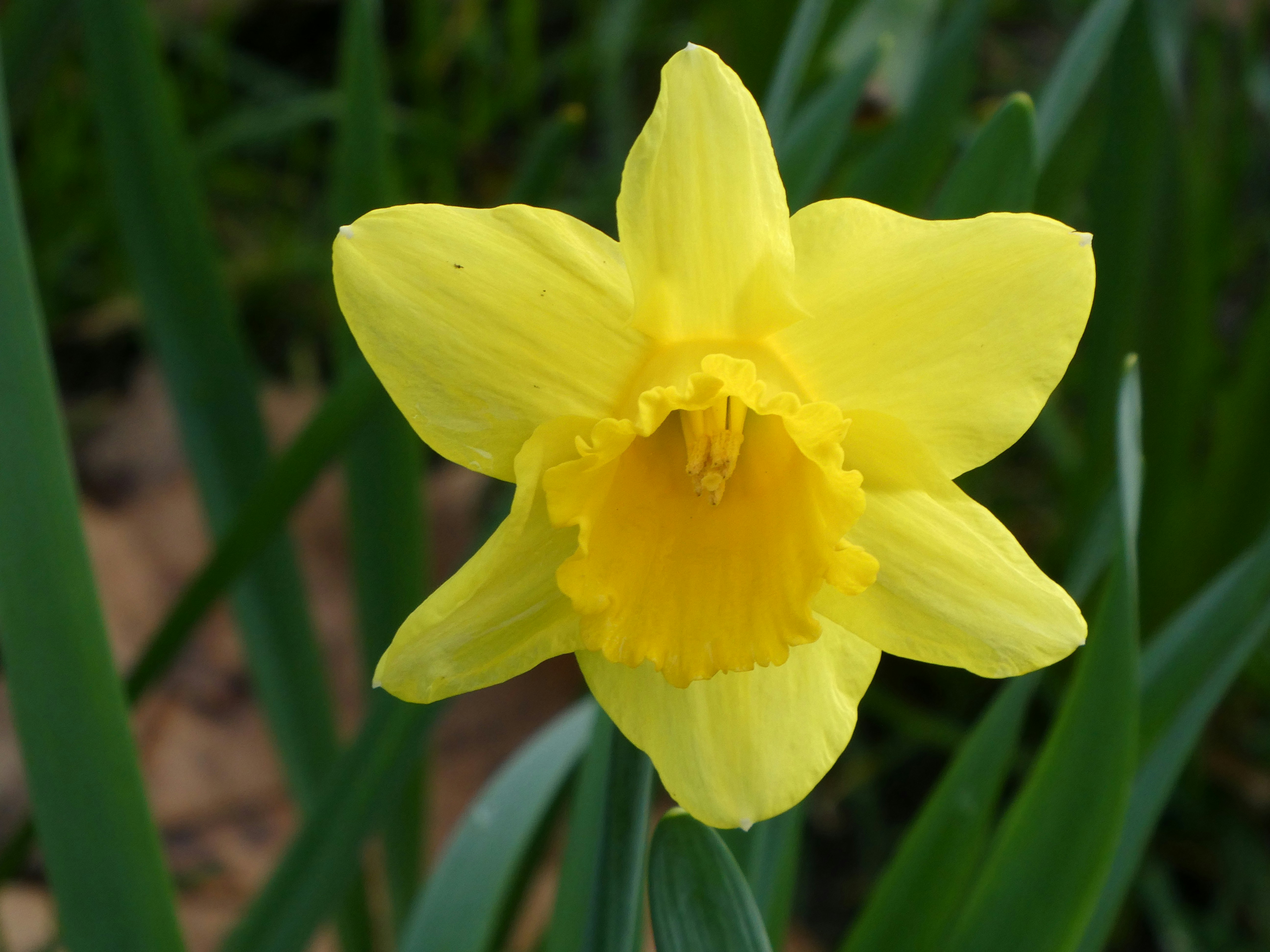 Photo by jay_kettle_williams