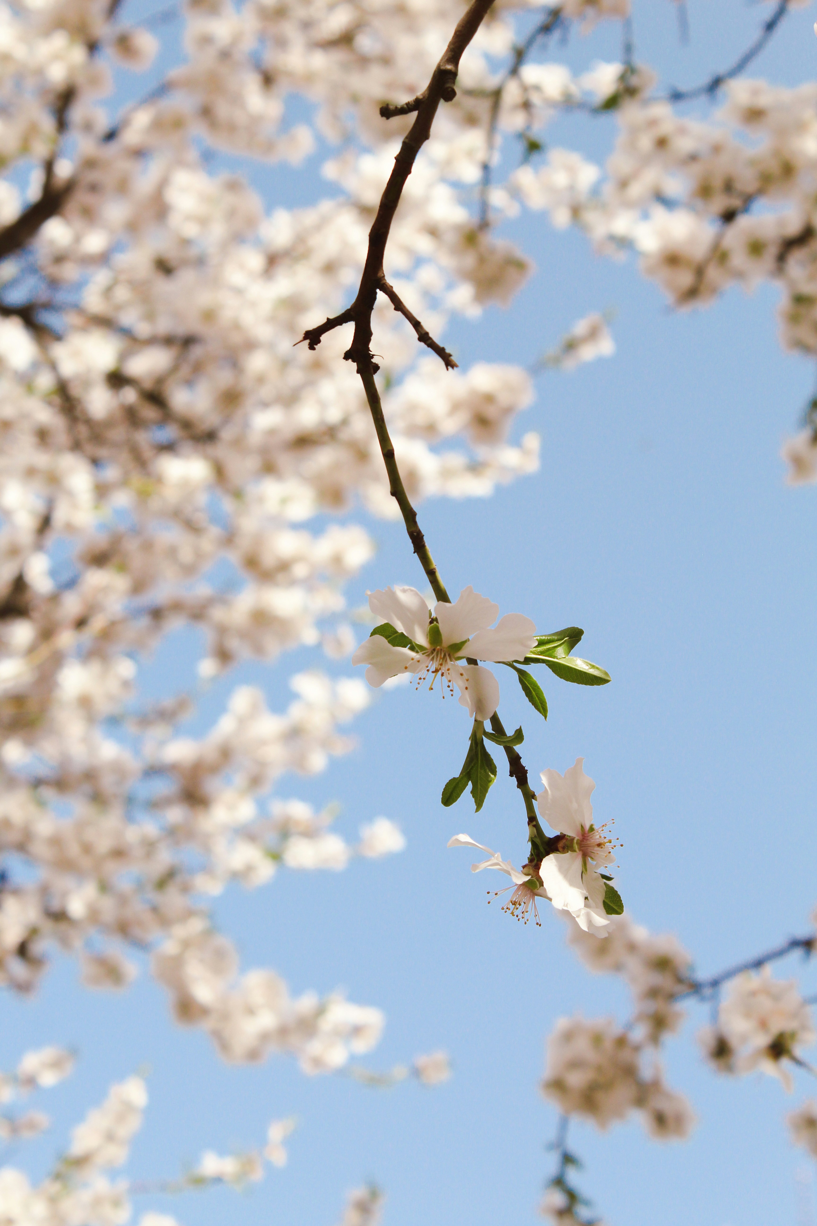 Photo by sarahiriveraac