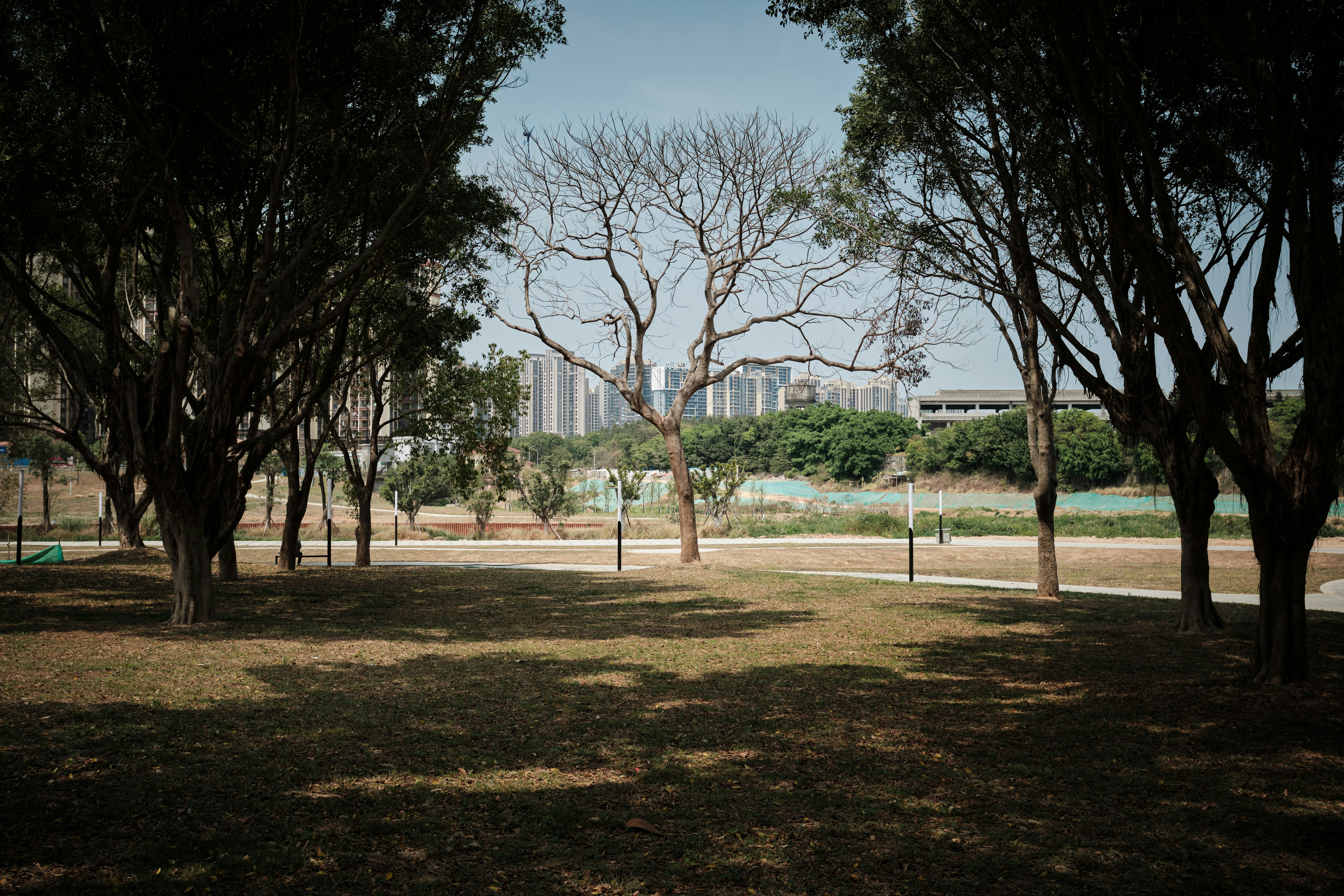 Park View Lunch Menu