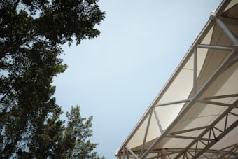 A section of an outdoor structure with a geometric canopy is visible on the right, featuring an intricate framework of supporting beams. On the left, tall, leafy trees reach inward from the sides, contrasting against the clear, light blue sky.