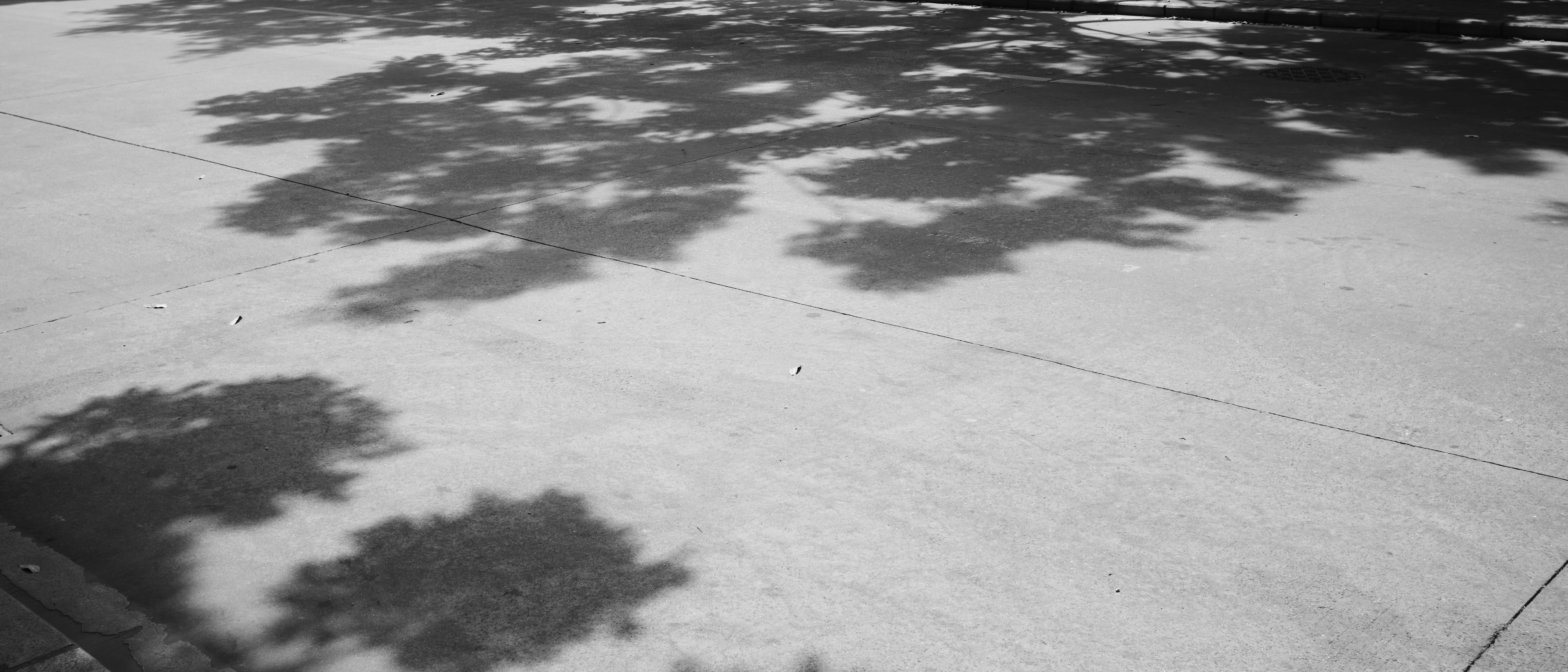 a man riding a skateboard down a sidewalk