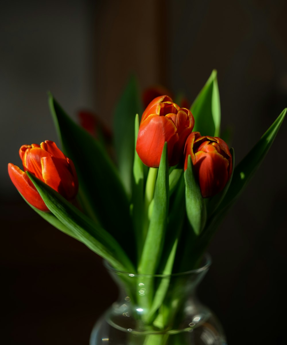 a glass vase filled with red and orange flowers