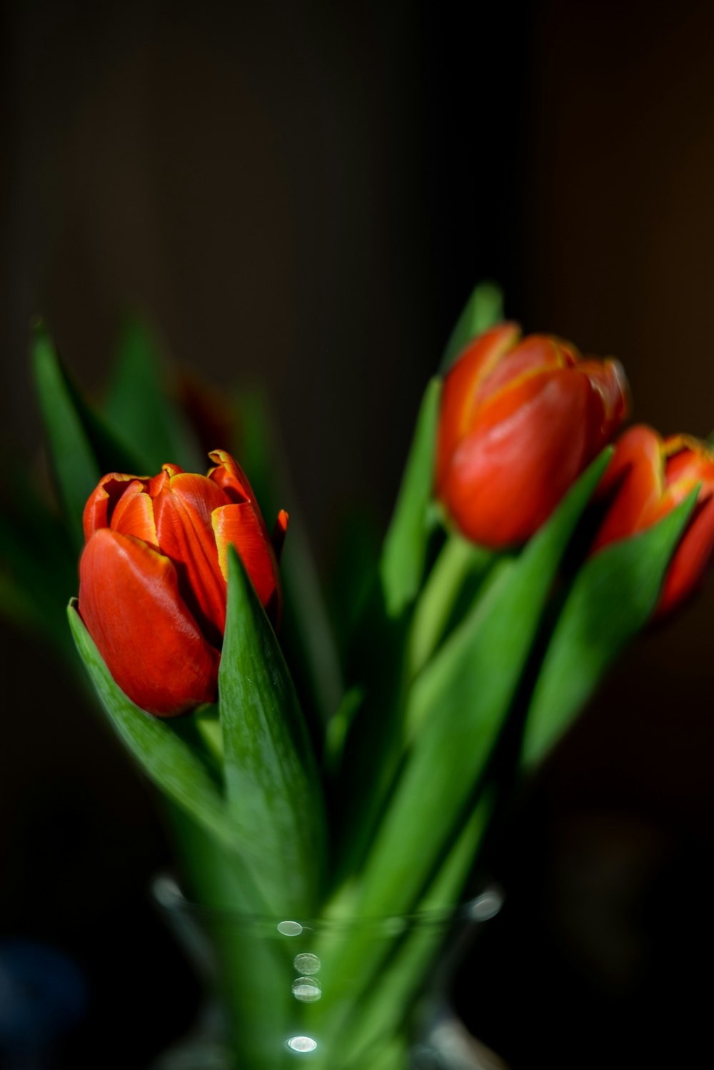 a vase filled with red flowers on top of a table