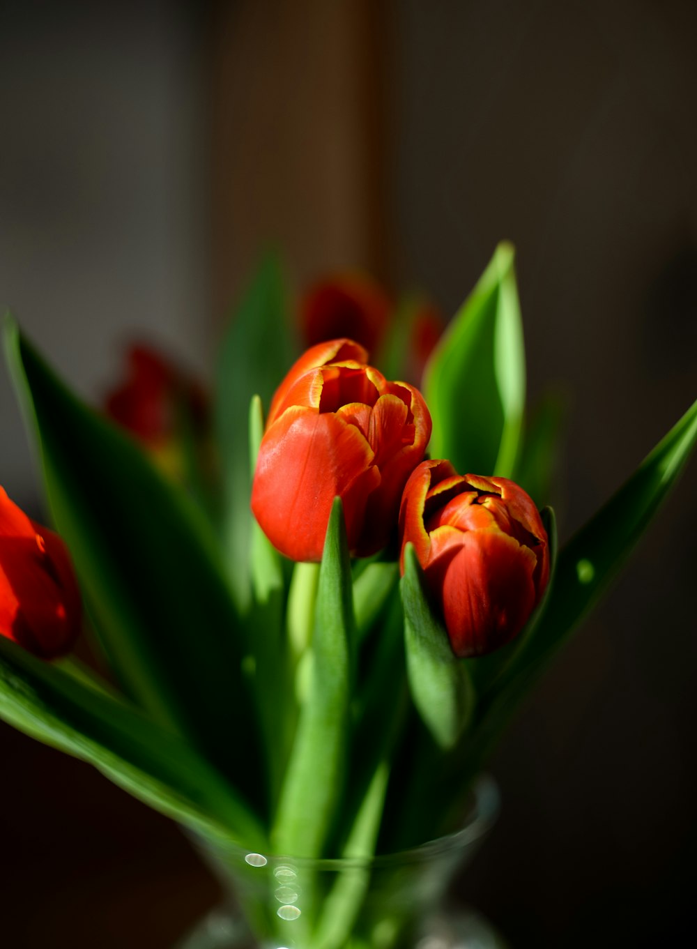 a vase filled with red and yellow flowers