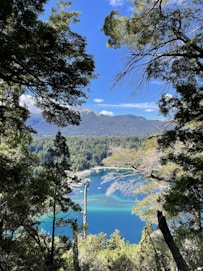 a view of a lake through some trees