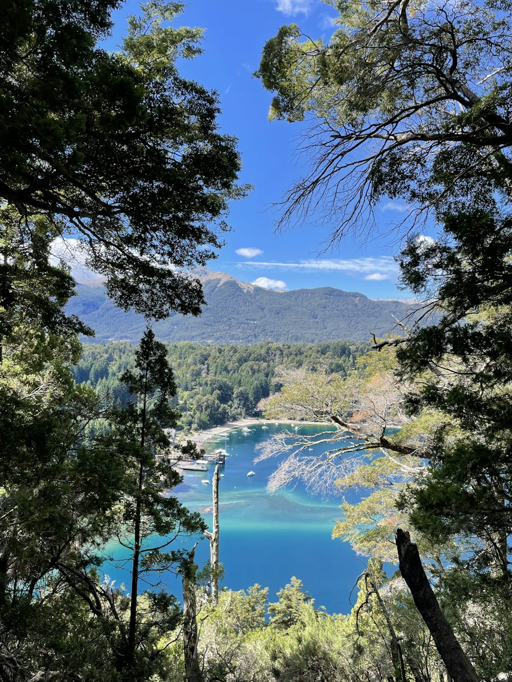 a view of a lake through some trees