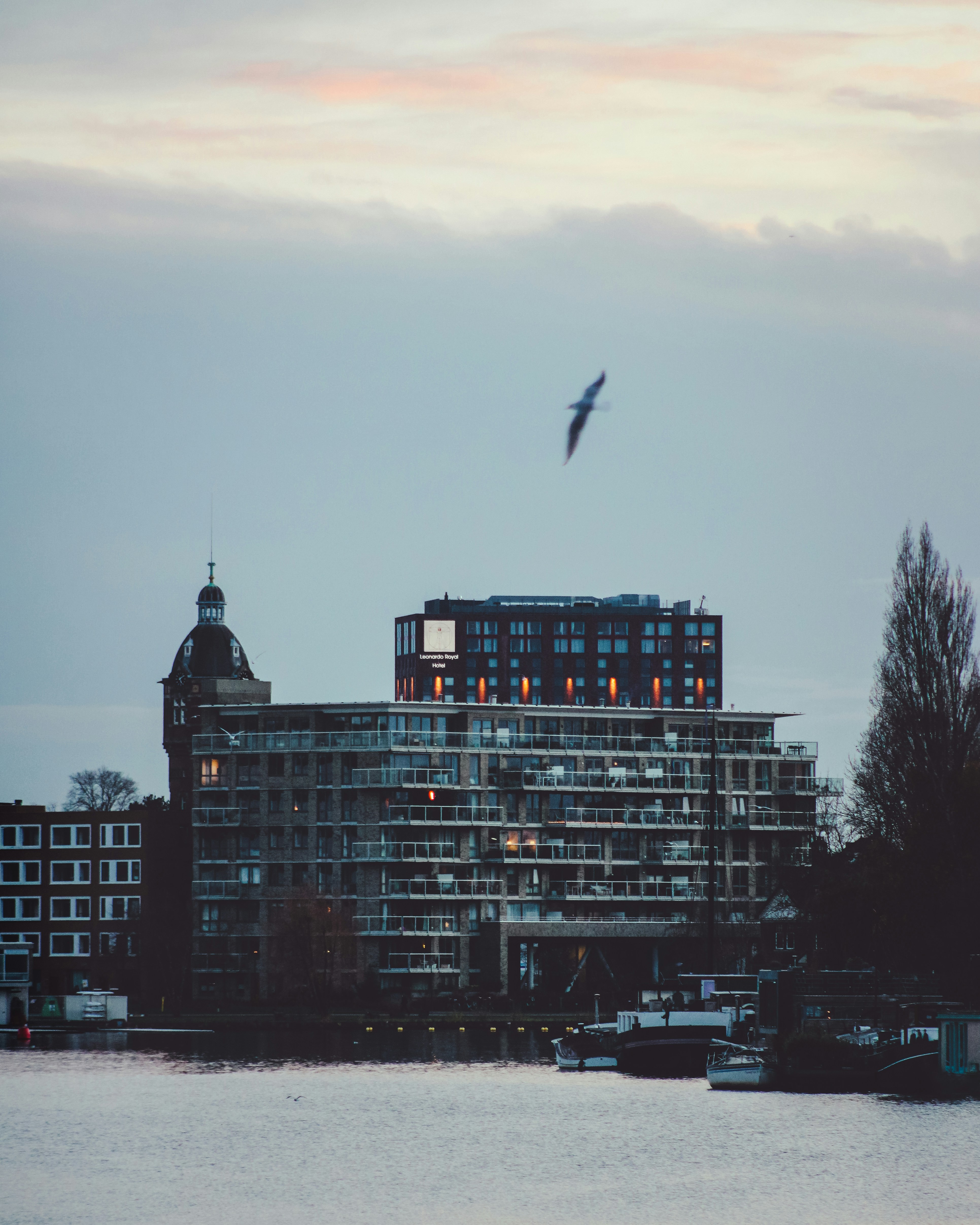 a bird flying over a large building next to a body of water