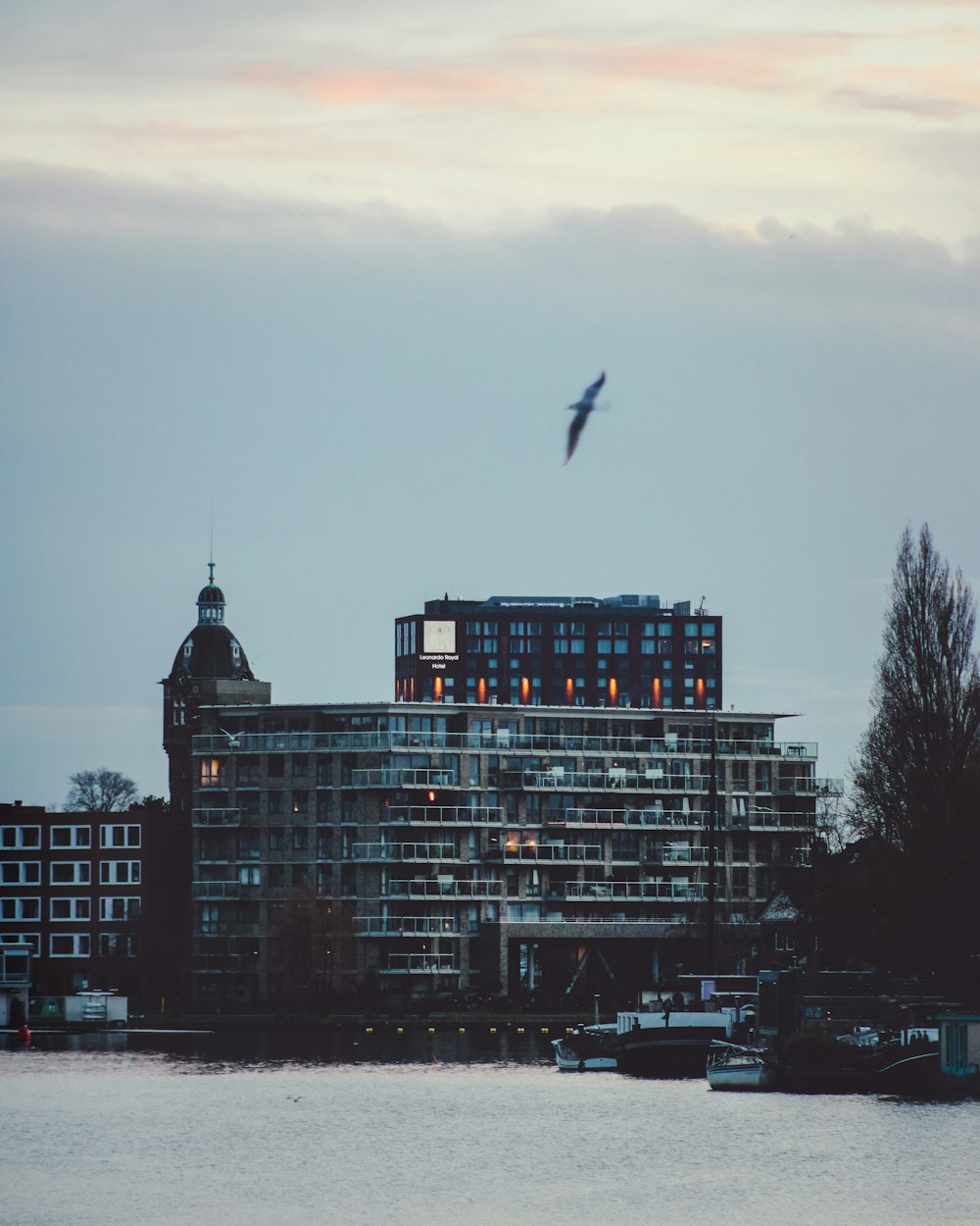 a bird flying over a large building next to a body of water