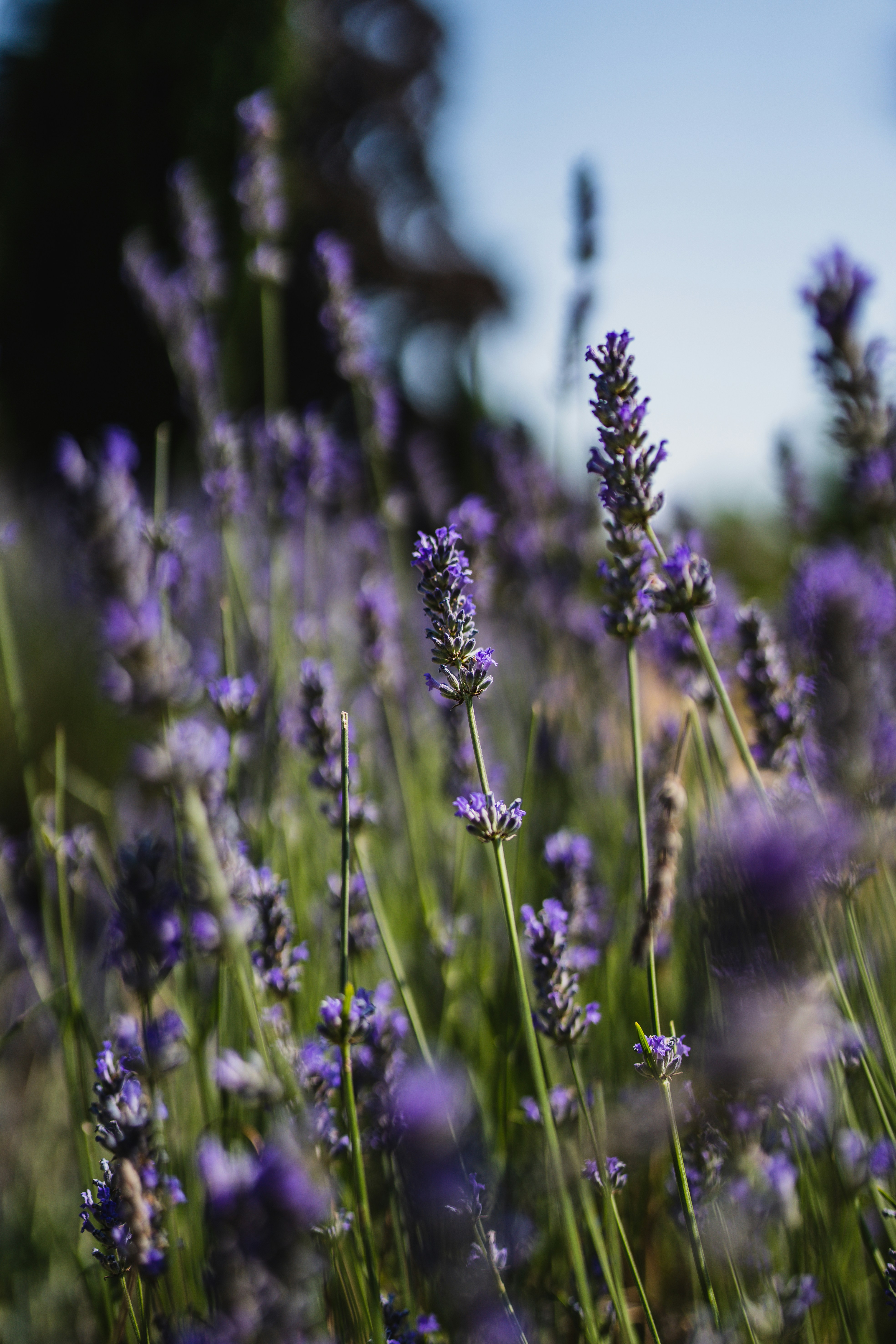 Photo by dixitdhinakaran