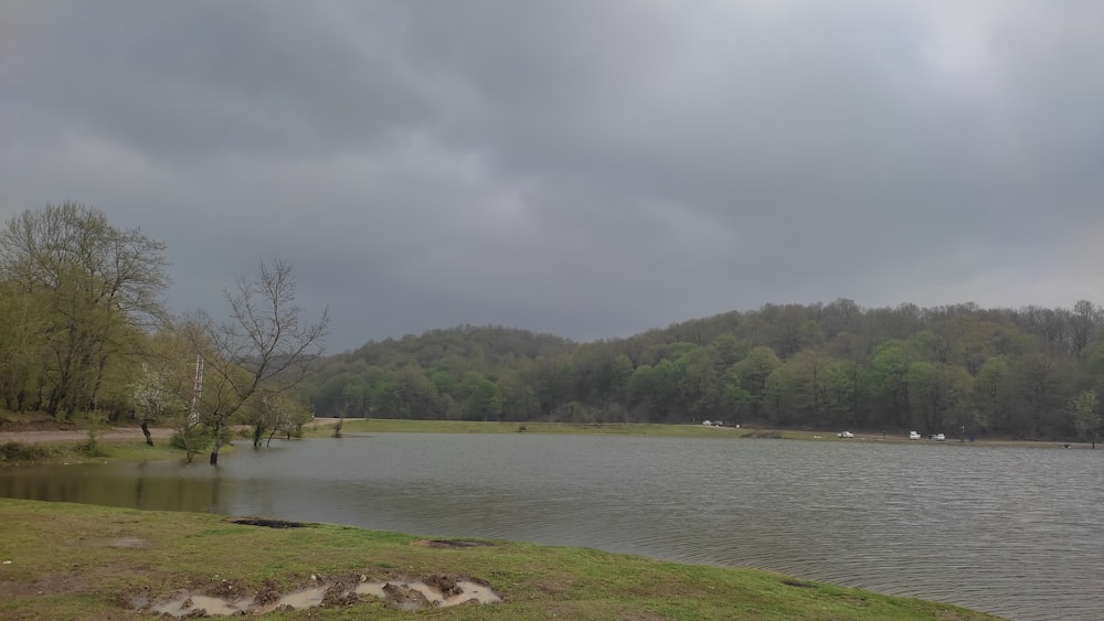 a large body of water surrounded by a forest