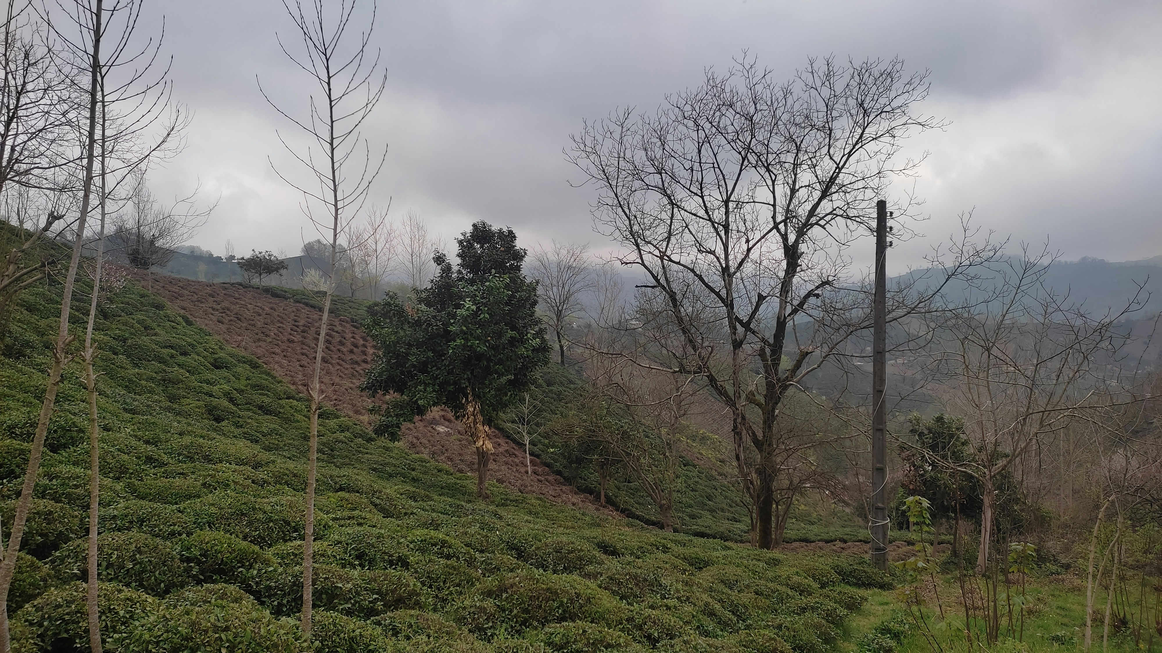 Satel Sar, Gilan Province, Iran