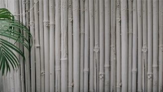 A series of vertical, textured bamboo sticks forms a natural barrier. On the left side, a green leafy plant partially obscures some of the bamboo.