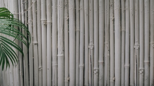 A series of vertical, textured bamboo sticks forms a natural barrier. On the left side, a green leafy plant partially obscures some of the bamboo.