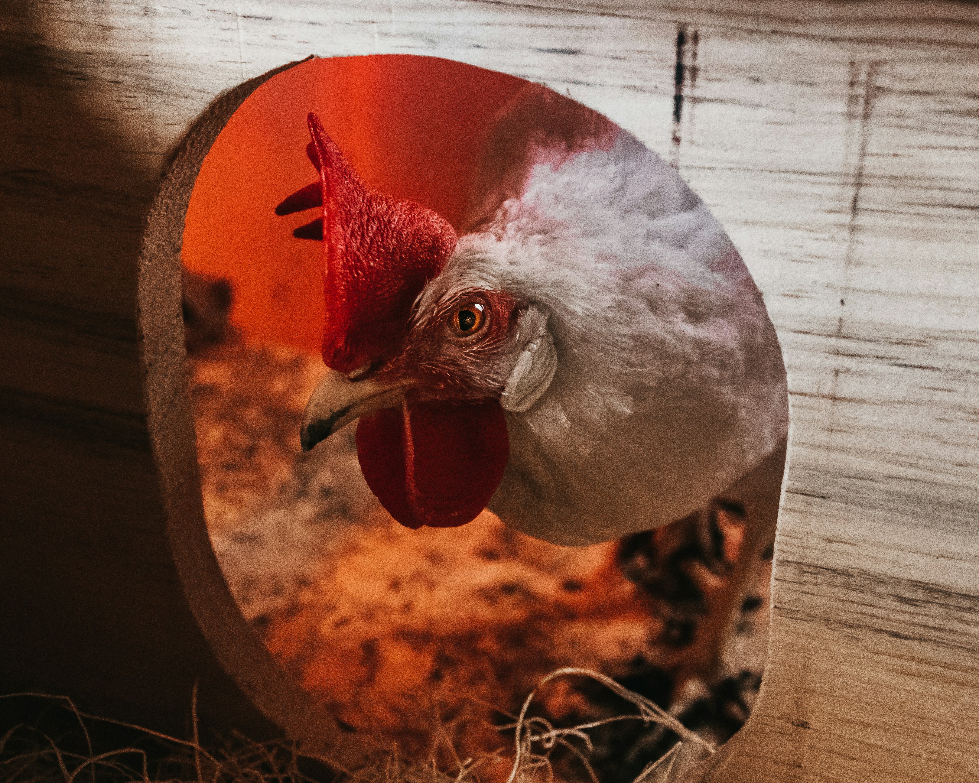 photo-1679419592335-3fa566cabf30