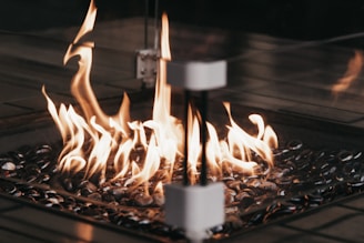 A modern fireplace featuring a controlled fire burning over decorative black stones. The flames dance prominently with a soft, warm glow, creating a cozy ambiance. The setup is enclosed in glass, adding a contemporary touch.
