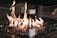 A modern fireplace featuring a controlled fire burning over decorative black stones. The flames dance prominently with a soft, warm glow, creating a cozy ambiance. The setup is enclosed in glass, adding a contemporary touch.