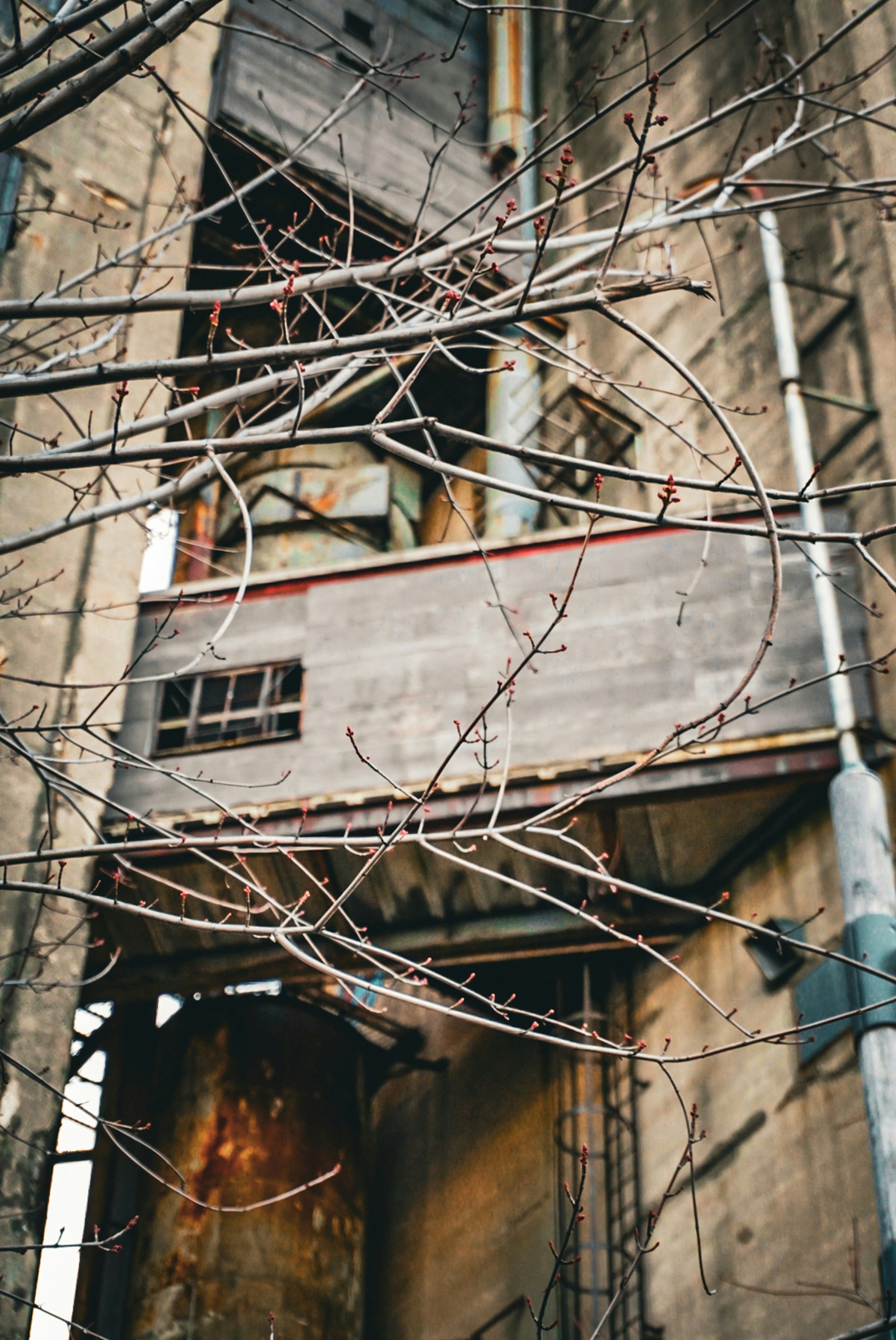 Photo by meri_vasilevski