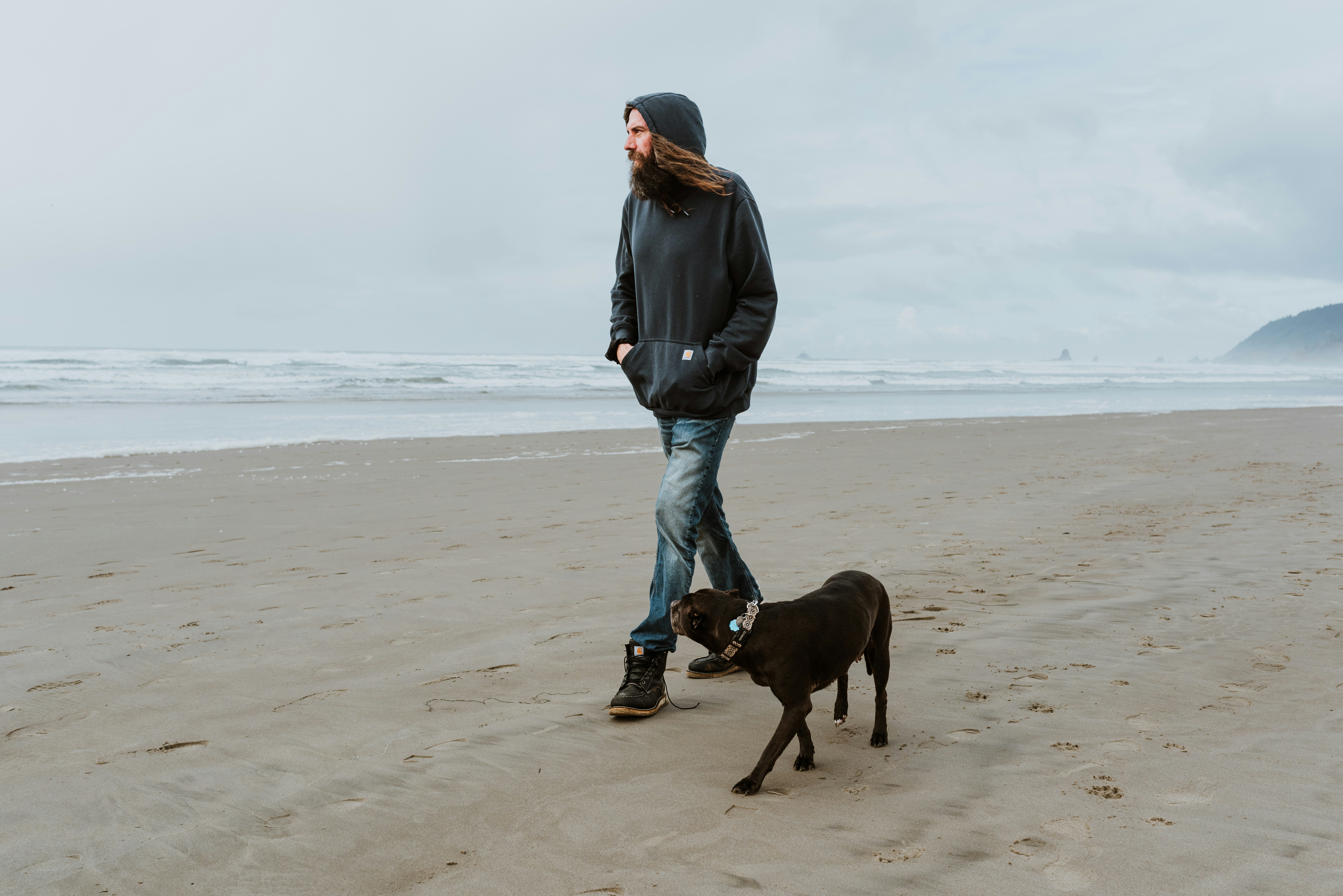 Effective Management Of Canine Ear Hematoma