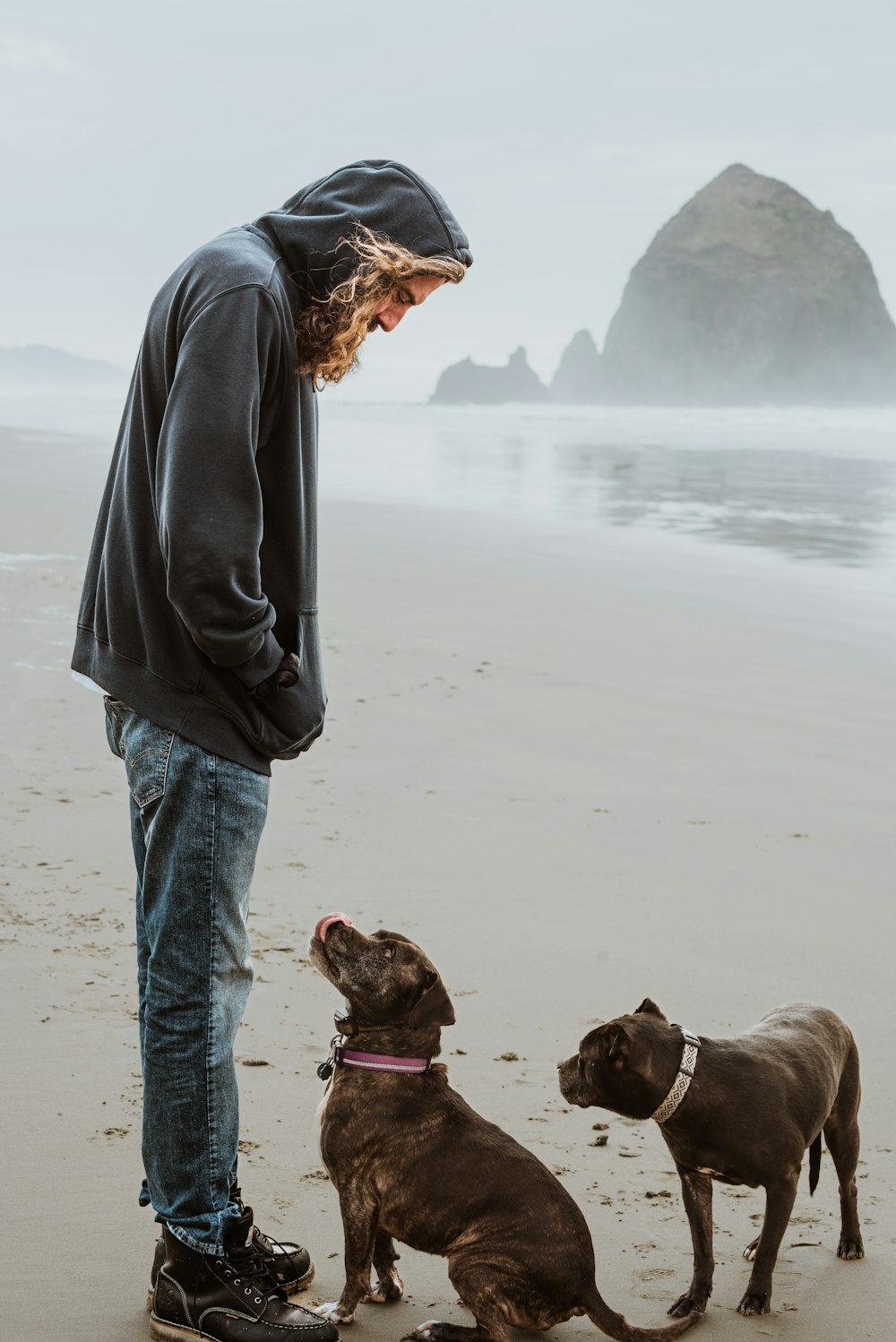 Ein Mann steht neben zwei Hunden an einem Strand