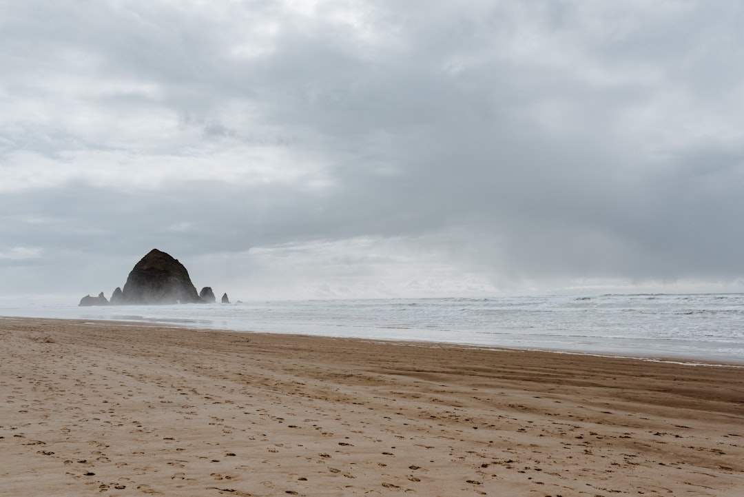 a sandy beach with footprints in the sand,