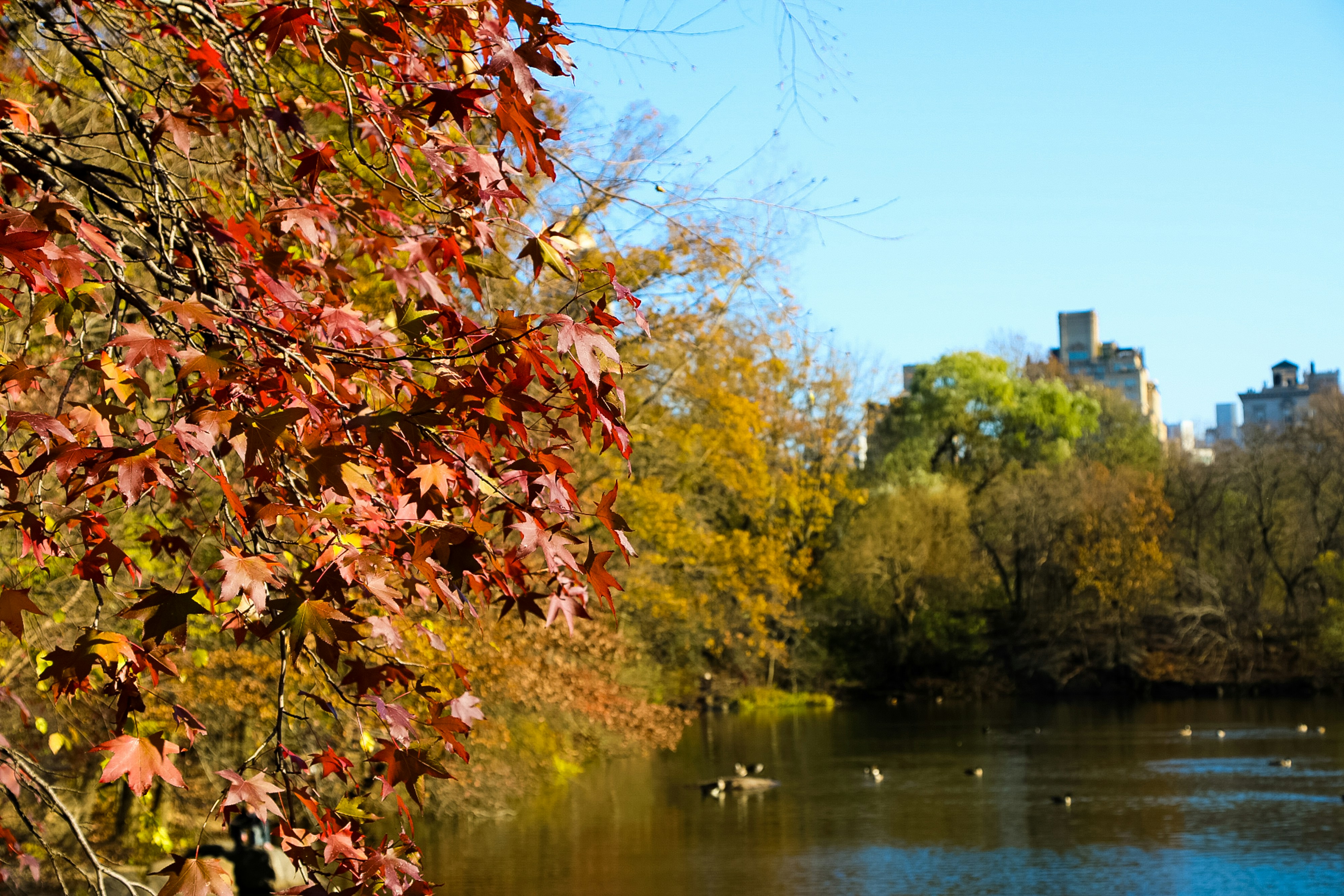 Photo by itsjesssanchez