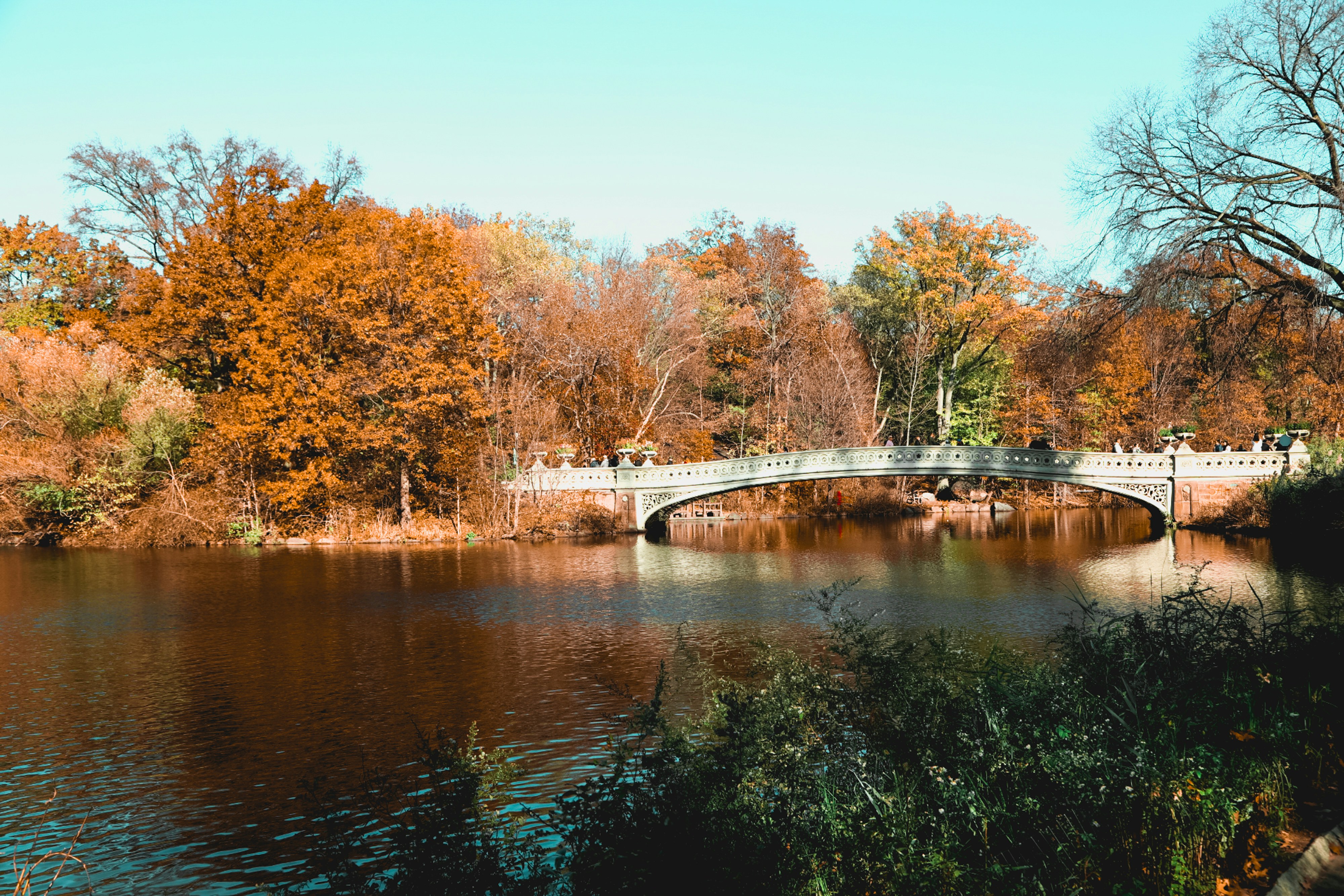 21st Century Evening Sale Featuring Works from the Edlis | Neeson Collection