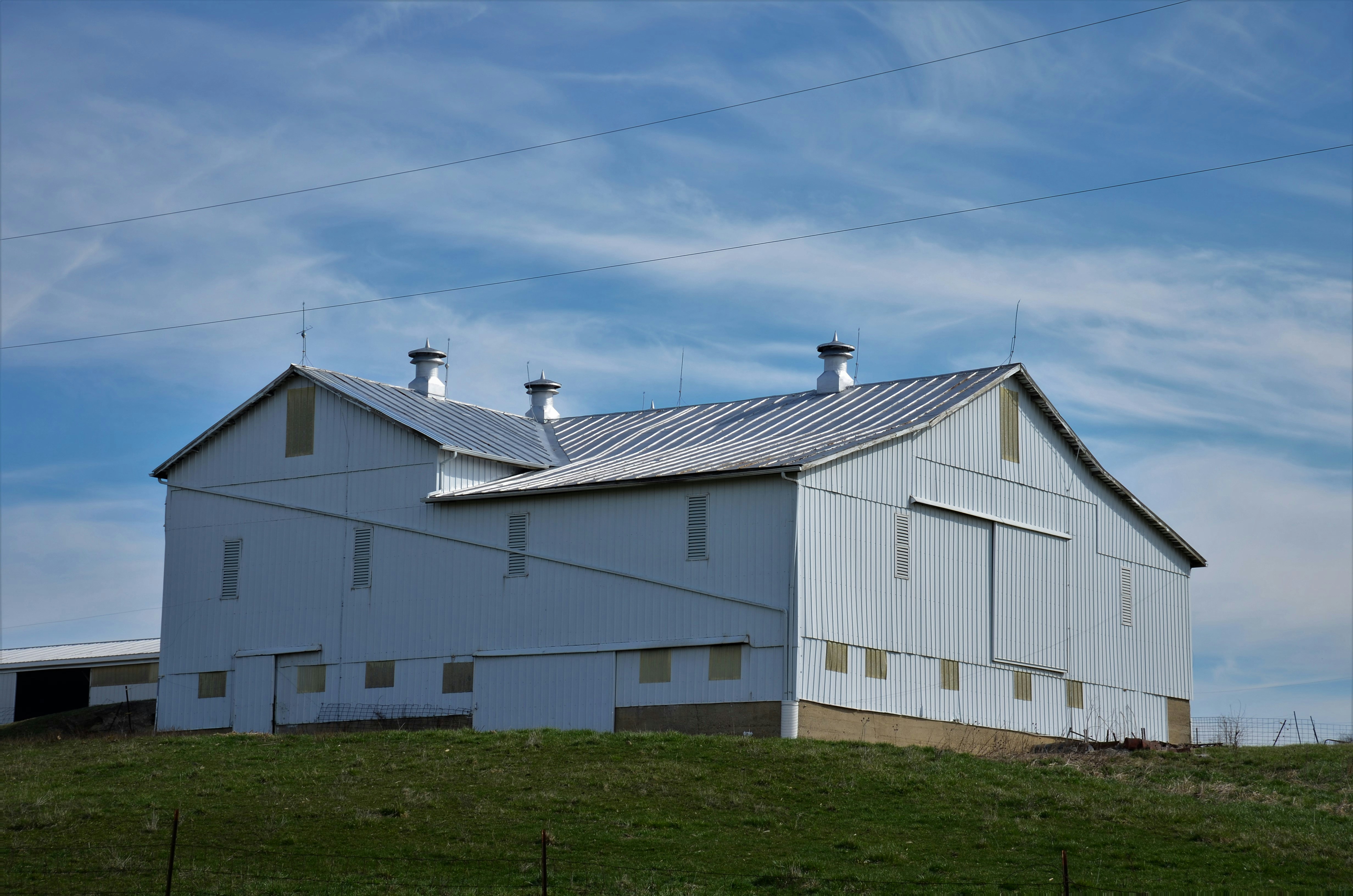 Comprehensive Guide to Dairy Farm Shed Design and Pricing in Pakistan